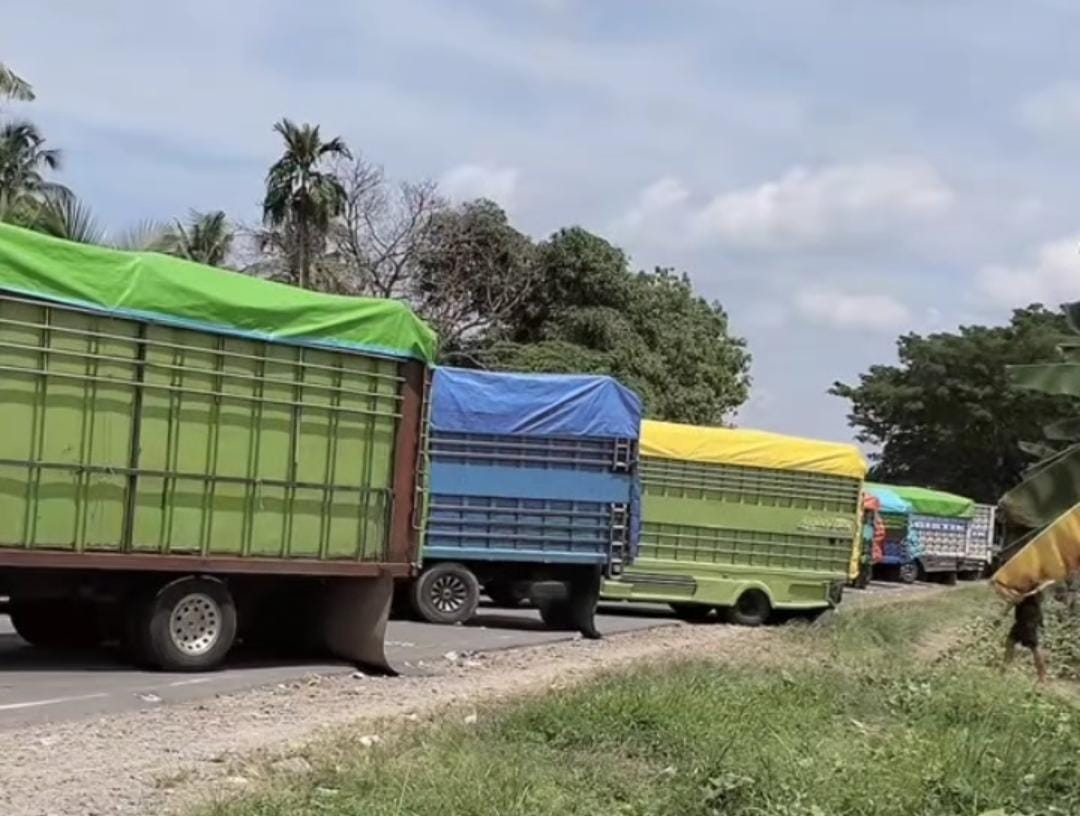 Hari ke 6 Demo Luwu Raya Giliran Sopir Truk Blokade Jalan, Aktivitas Lalu Lintas Lumpuh 
